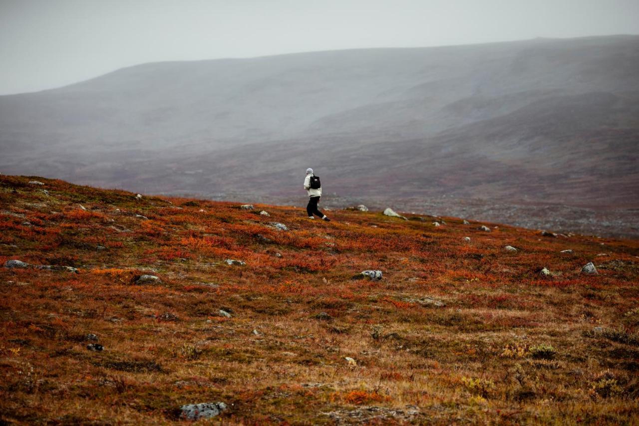 Lapland Sirkantaehti