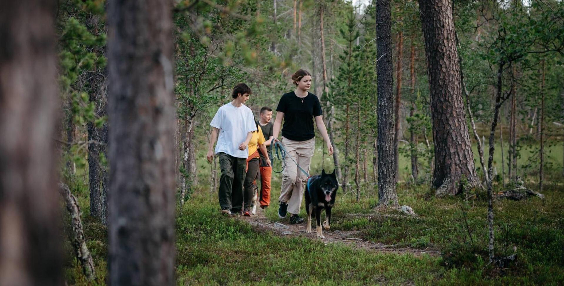 Lapland Sirkantähti 3*