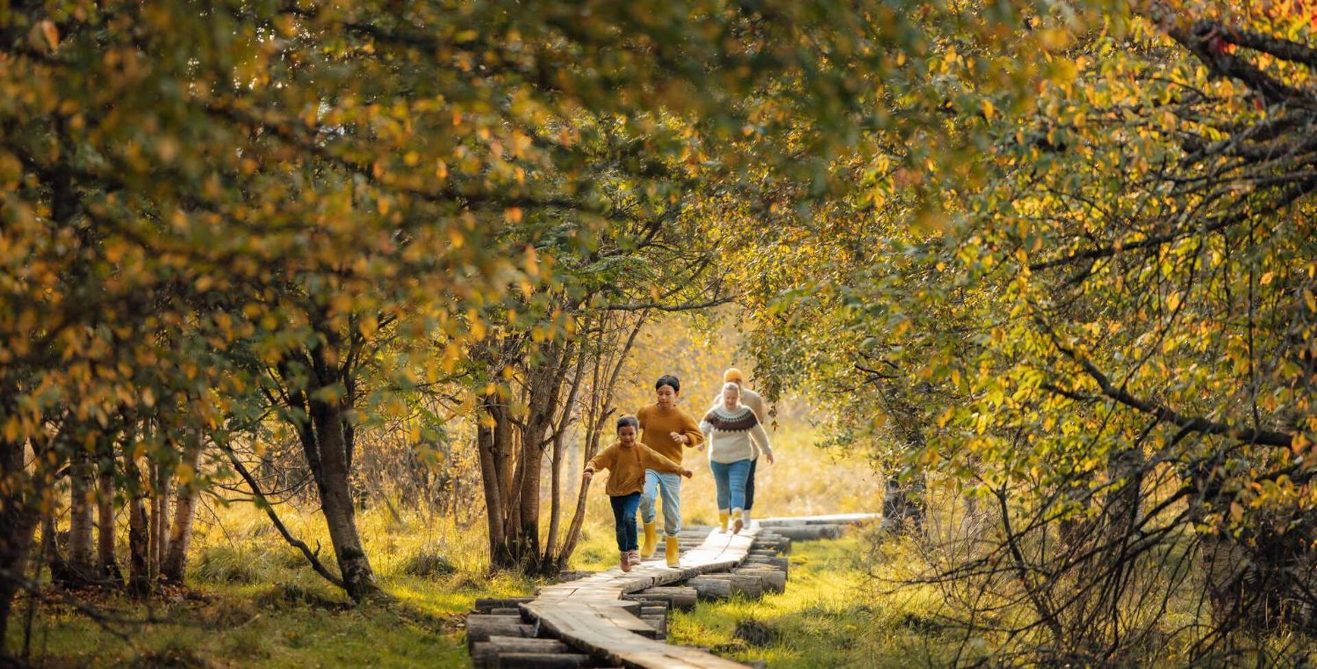 Lapland Sirkantähti 3* Levi