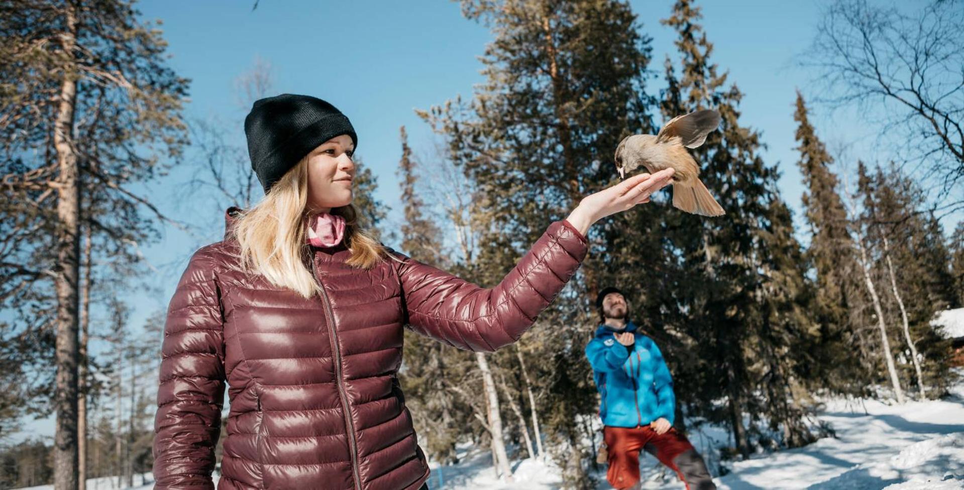 Lapland Sirkantähti Hotel 3*