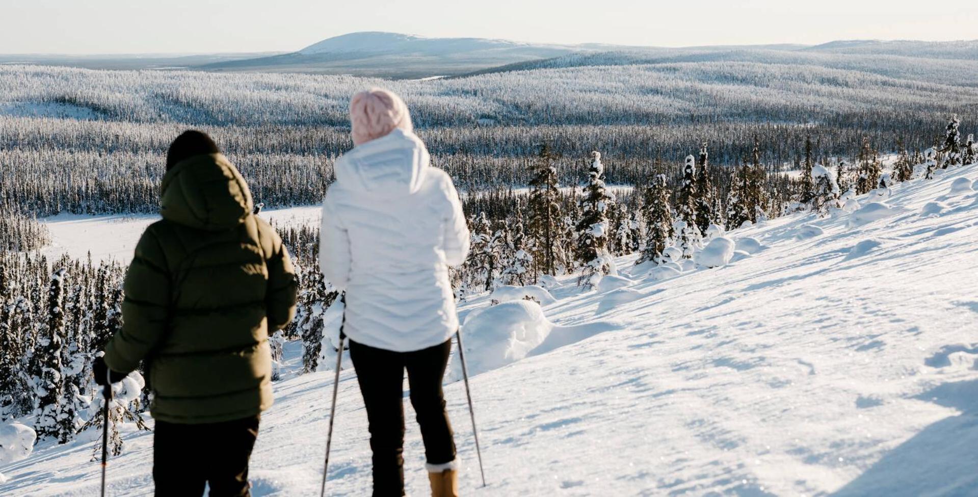 Lapland Sirkantähti Levi
